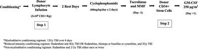 The two-step approach to allogeneic hematopoietic stem cell transplantation